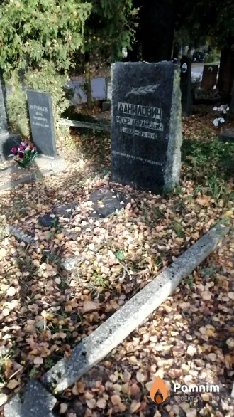 Данилович Меер Абрамович