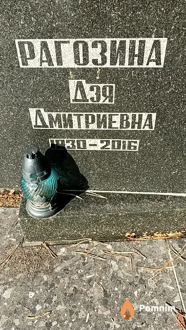 Рагозина Дэя Дмитриевна