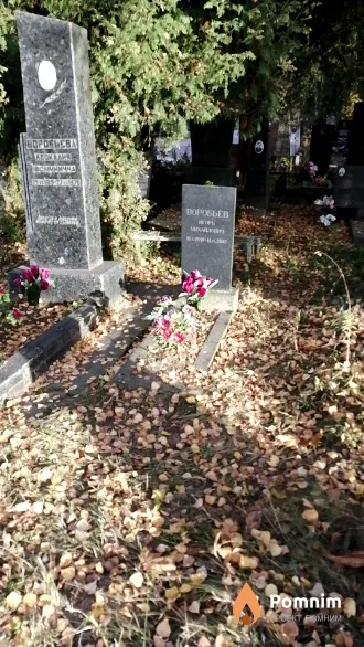 Воробьёв Игорь Михайлович