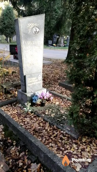 Гольдинер Бронеслава Давыдовна