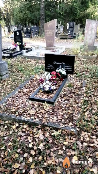 Воронов Борис Иванович