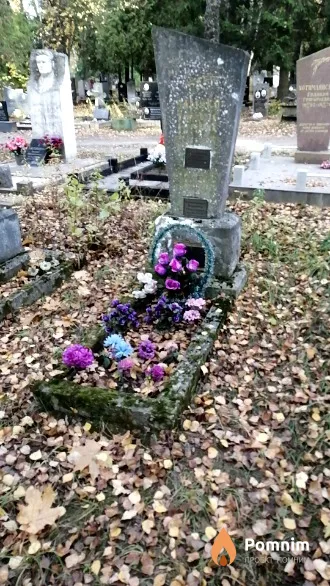 Злывко Елизавета Сергеевна