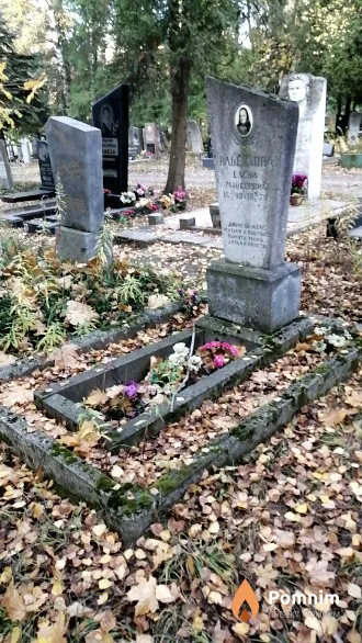 Ильенкова Елена Моисеевна
