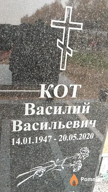 Кот Василий Васильевич