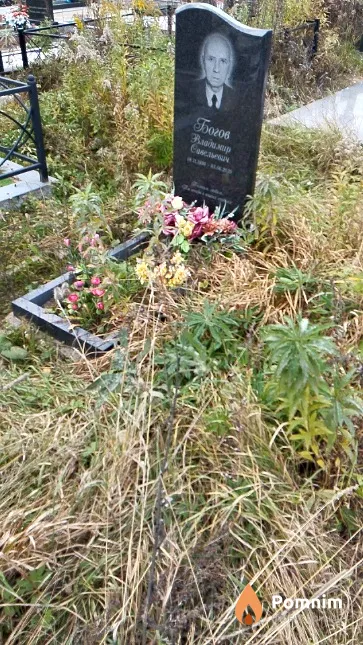 Богов Владимир Савельевич