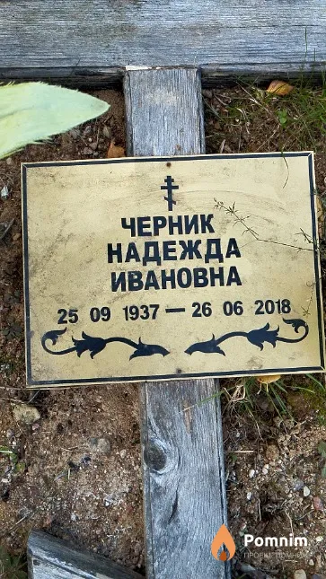 Черник Надежда Ивановна