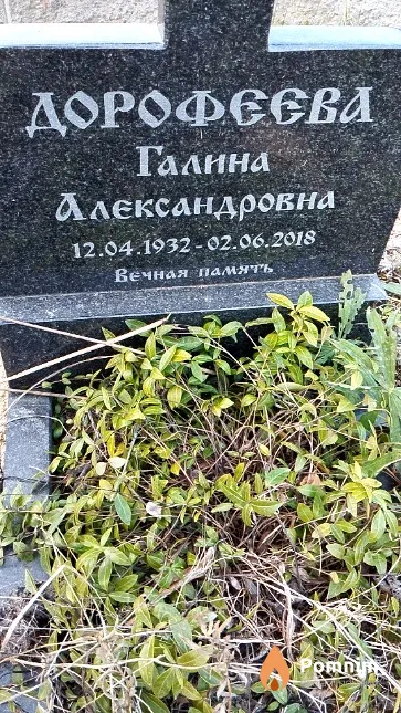 Дорофеева Галина Александровна