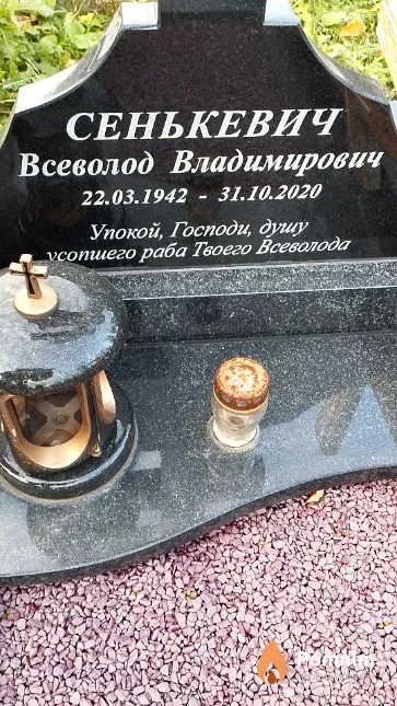 Сенькевич Всеволод Владимирович