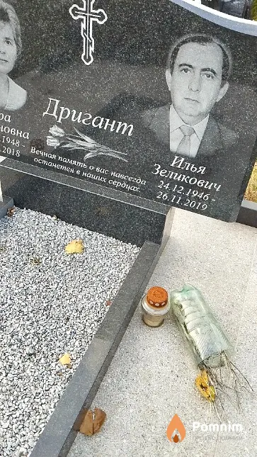 Дригант Илья Зеликович