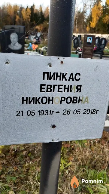 Пинкас Евгения Никоноровна