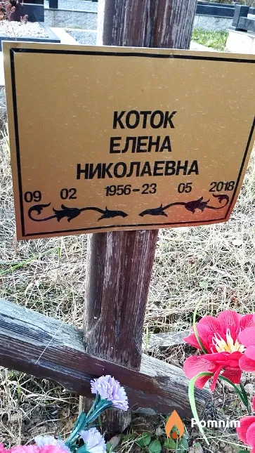 Коток Елена Николаевна