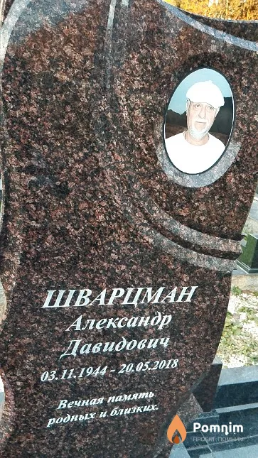Шварцман Александр Давидович