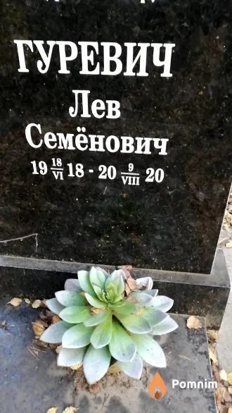 Гуревич Лев Семёнович
