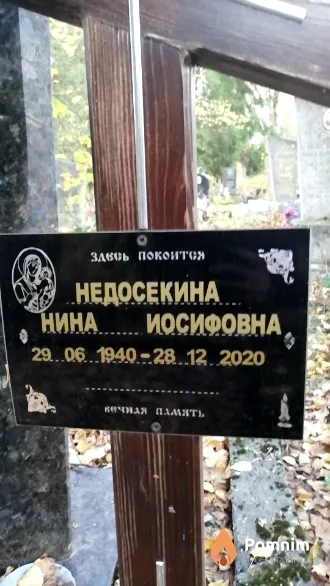 Недосекина Нина Иосифовна