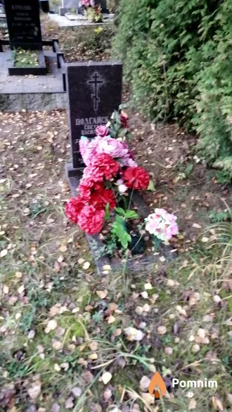 Подгайская Светлана Васильевна