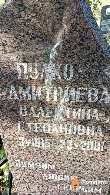 Пулко-Дмитриева Валентина Степановна