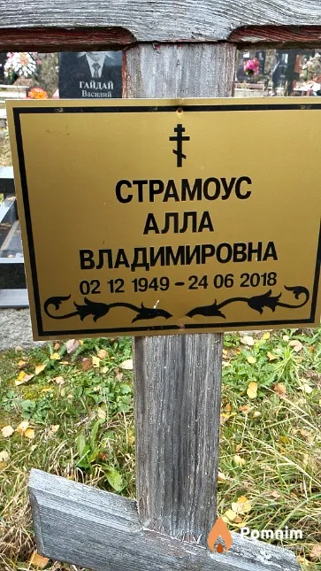 Страмоус Алла Владимировна