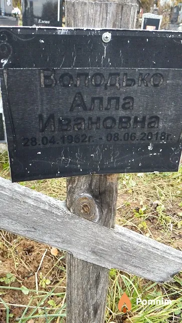 Володько Алла Ивановна
