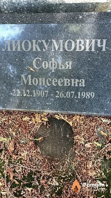 Лиокумович Софья Моисеевна