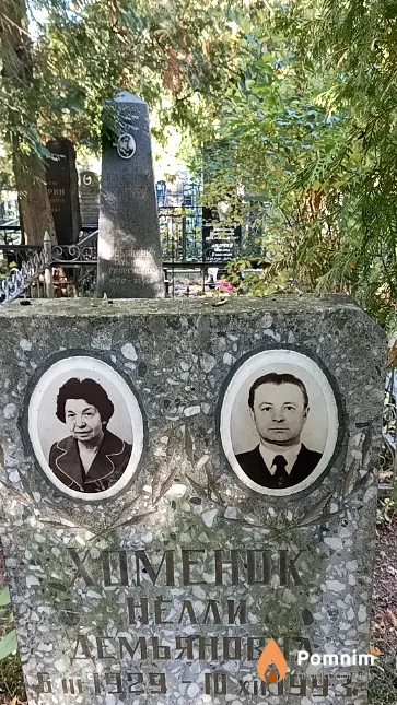 Хоменюк Нелли Демьяновна