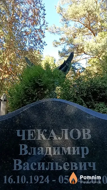 Чекалов Владимир Васильевич
