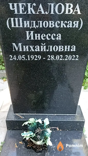 Чекалова (Шидловская) Инесса Михайловна