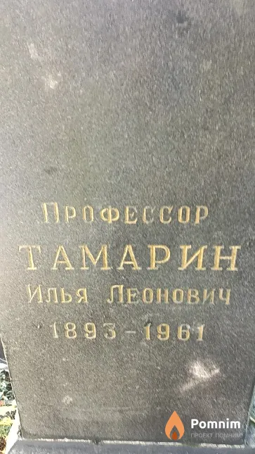 Тамарин Илья Леонович