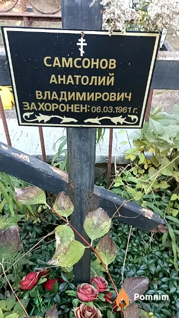 Самсонов Анатолий Владимирович