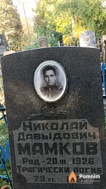 Мамков Николай Давыдович