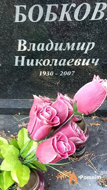 Бобков Владимир Николаевич