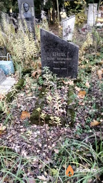 Ермак Елена Васильевна