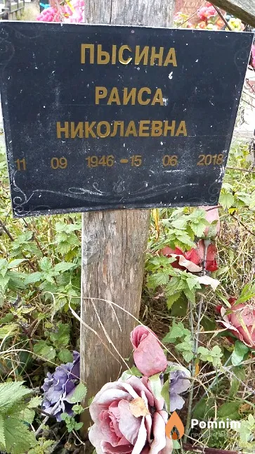 Пысина Раиса Николаевна