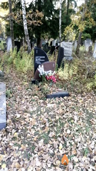 Антипов Семен Матвеевич