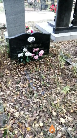 Дьяченко Николай Прокофьевич