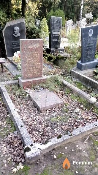Голтер Израиль Моисеевич