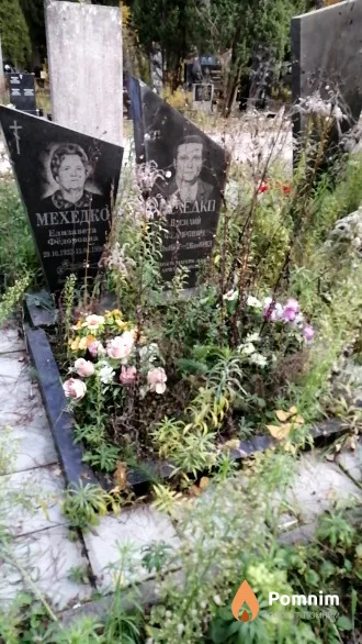 Мехедко Елизавета Фёдоровна