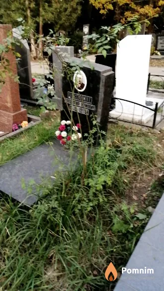 Романовский Владимир Нрмович