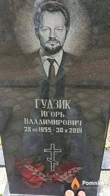 Гудзик Игорь Владимирович