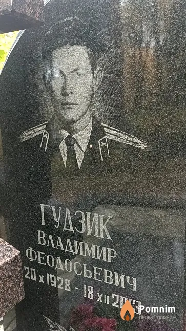 Гудзик Владимир Феодосьевич