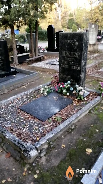 Гершун Софья Зеликовна