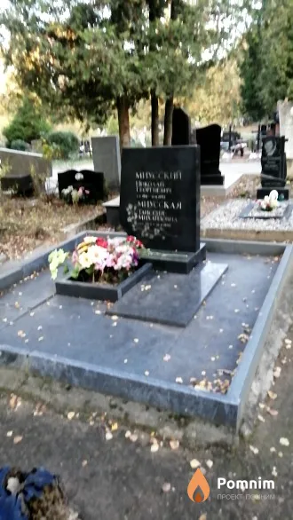Миусский Николай Георгиевич