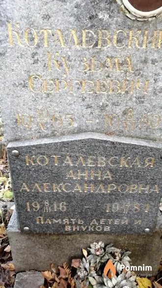 Коталевская Анна Александровна