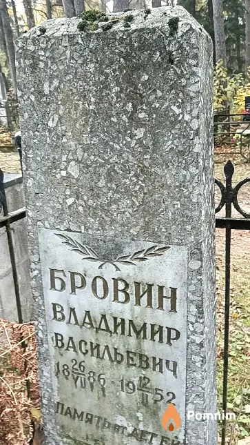 Бровин Владимир Васильевич