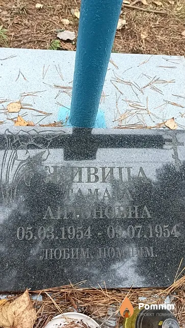 Живица Тамара Антоновна