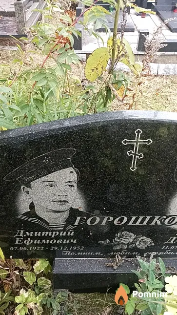 Горошко Дмитрий Ефимович