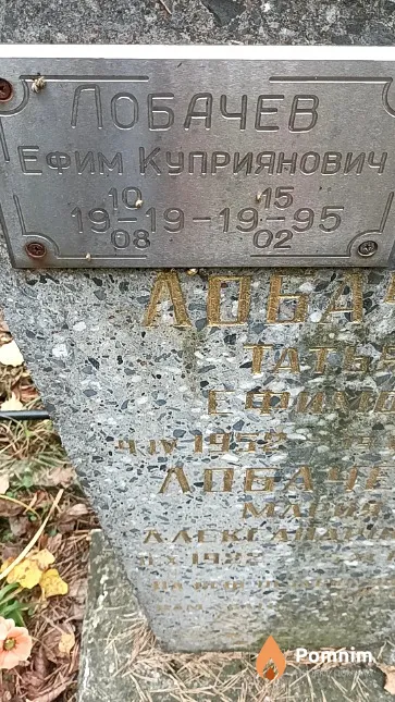 Лобачев Ефим Куприянович