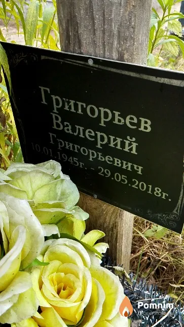 Григорьев Валерий Григорьевич