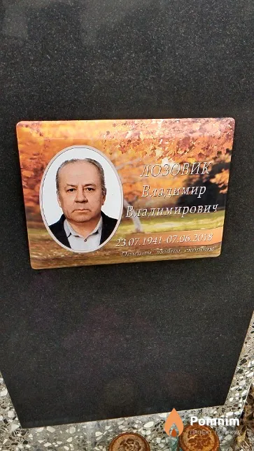 Лозовик Владимир Владимирович