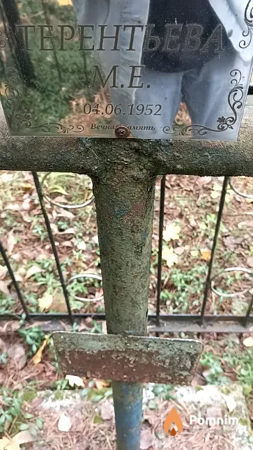 Терентьева М. Е.