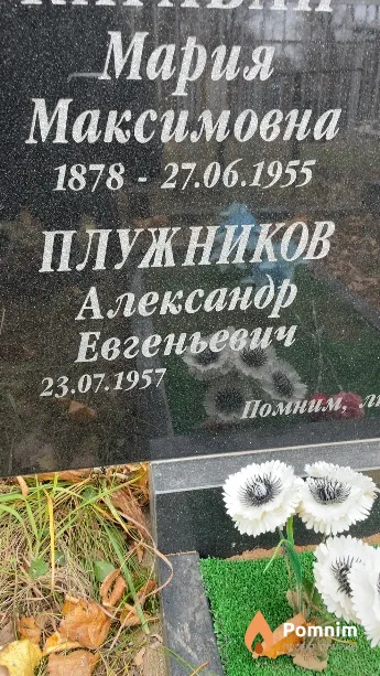 Плужников Александр Евгеньевич